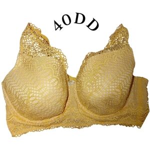 ʕ·ᴥ·ʔ Cacique Corset Plus Size Bra 40DD